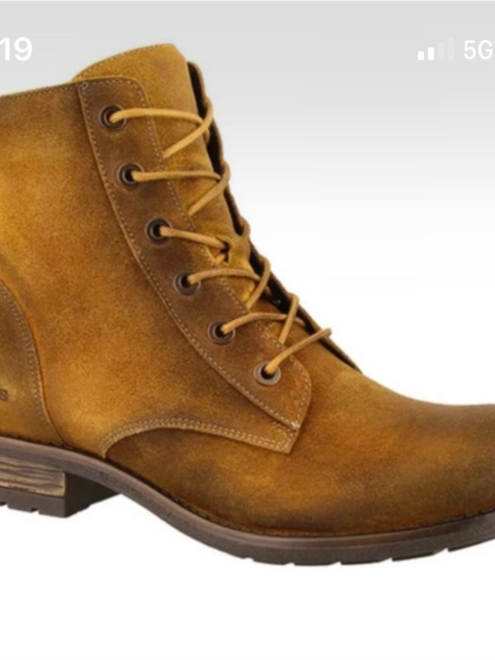 Taos Footwear Women's Lace-Up Moto Boot - Brown